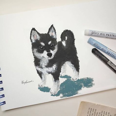 Husky Drawing, Oil Pastel Colours, Oil Pastels Painting, Art Sketches Doodles, Oil Pastel Paintings, Animal Portraits Art, 강아지 그림, Oil Pastel Art, Oil Pastel Drawings