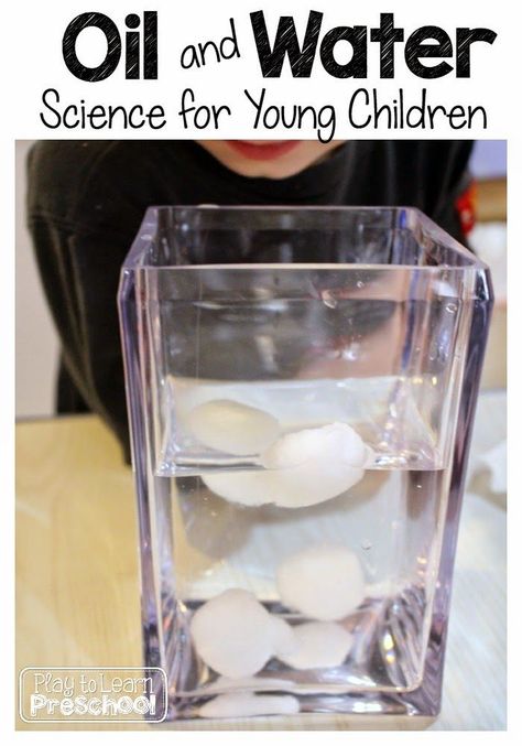 Oil and water science for preschool and kindergarten. Cotton Ball Science Experiment, Oil And Water Experiment, Play To Learn Preschool, Water Science Experiments, Water Experiments, Science Stem, Preschool Science Activities, Science Experiments For Preschoolers, Simple Science