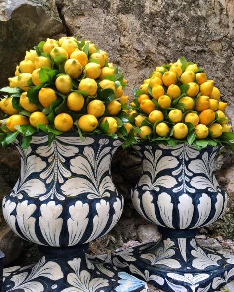 Sebastian Flowers on Instagram: “The Party Season has started in Sicily!!! #lemons #party #event #taormina #sicily #flowers #sebastianflowersitaly” Sicily Lemon Aesthetic, Sicily Decor, Lemon Sicily, Sicily Garden, Sicilian Garden, Noto Sicily, Sicily Food, Italian Shop, Sicily Wedding