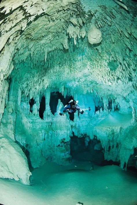 Underwater Cavern, Scuba Diving Quotes, Underwater Caves, Fauna Marina, Pet Cemetery, Deep Sea Diving, Scuba Diving Equipment, Cave Diving, Best Scuba Diving