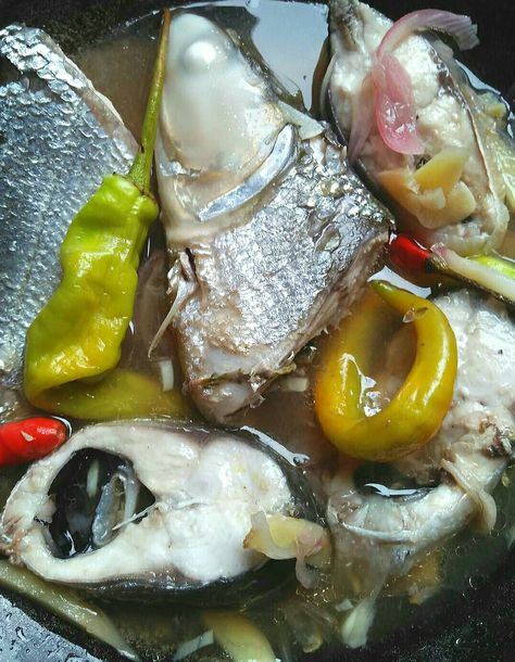 Paksiw na Bangus Bangus Fish, Paksiw Na Bangus, Pinoy Foods, Food Gallery, Pinoy Food, Food Culture, Fish Recipes, Food Dishes, Fish