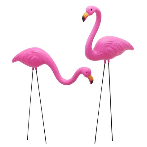 PRICES MAY VARY. SUPER VALUE. Our flamingo ornament set includes 2 Small Pink Flamingos. The flamingo with a head tilt high measures 17in height x 6in width, while the one with the head down measures 14in height x 10.5in width. Both flamingos have galvanized steel legs and 2 eyes for each one.(BE AWARE! THEY ARE MINI SIZE!) EASY TO DECORATE. This set of pink flamingo would perfectly match with your flowers in the garden, landscape, sidewalks, and more. IDEAL DECORATIVE ORNAMENT. Perfect set of p Plastic Pink Flamingos, Campsite Decorating, Yard Flamingos, Lawn Flamingos, Plastic Flamingo, Flamingo Ornament, Flamingo Garden, Tropical Party Decorations, Yard Ornaments