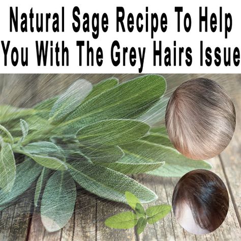 Natural Sage Recipe To Help You With The Grey Hairs Issue Sage For Grey Hair, Sage Hair Rinse, Uses For Sage Leaves, Sage Uses, Sage Recipes, Sage Tea, Sooth Sore Throat, Strengthen Teeth, How To Dry Sage