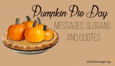 Pumpkin Pie Day Pie Quotes Funny, Pie Quotes, Messages Funny, Pie Day, Messages Quotes, Wishes Messages, Instagram Captions, Pumpkin Pie, Quote Of The Day