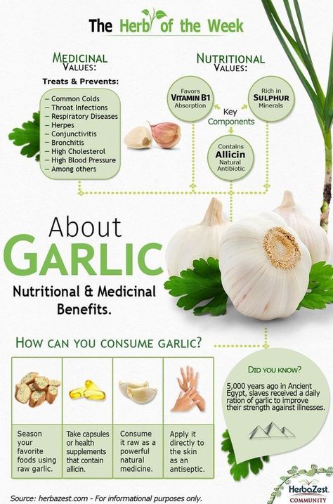 Infographic: Garlic Health Benefits Of Garlic, Benefits Of Garlic, Throat Infection, Calendula Benefits, Garlic Benefits, Matcha Benefits, Coconut Health Benefits, Natural Antibiotics, Benefits Of Coconut Oil