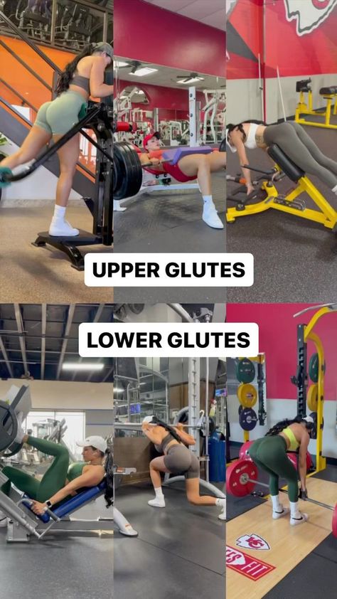 When trying to get full glute development it’s important to understand there’s both an upper and lower division of the glutes. The upper division is the more dynamic of the two, and is more capable of doing external rotation and some abduction of the hip. Where the lower division is mostly a pure hip extensor. So to bias divisions of the glutes we want to both create peak resistance where a regional area will have adaptations and work the primary functional component. For the lower glute fibers Upper Glute Exercises, Kenya Grace, Lower Glutes, Glute Raises, Lauren Simpson, Glute Growth, Glute Medius, Step Ups, Hamstring Muscles