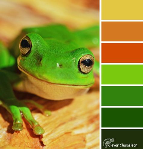 Hoppy Tuesday color scheme from Clever Chameleon. Green, red-brown, orange, yellow. Frog Project, Hashtag Ideas, Quilt Stories, Green Palette, Isometric Art, Room Color Schemes, Colour Inspiration, Design Seeds, Color Balance