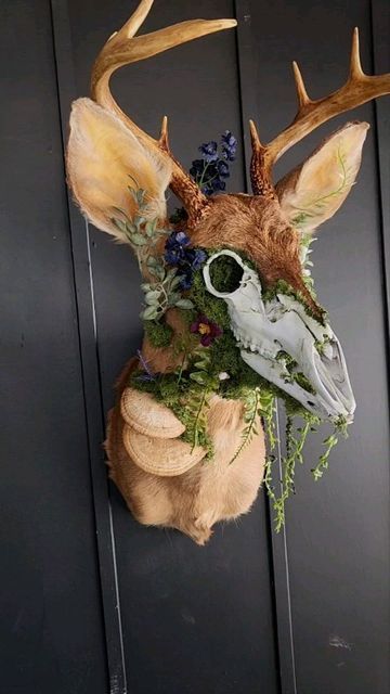 Mythical Creature Taxidermy, Messed Up Taxidermy, Moss On Driftwood, Cool Taxidermy, Crafts With Bones, Animal Bone Crafts, Animal Bones Crafts, Bone Art Diy, Dragon Taxidermy