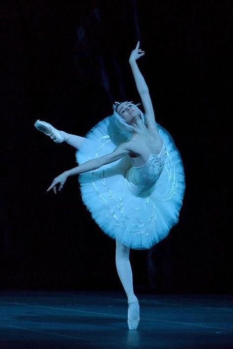 Swan Lake Ballet, Ballet Beauty, Ballet Inspiration, Russian Ballet, Ballet Photos, Pretty Ballerinas, Pantomime, Shall We Dance, Classical Ballet