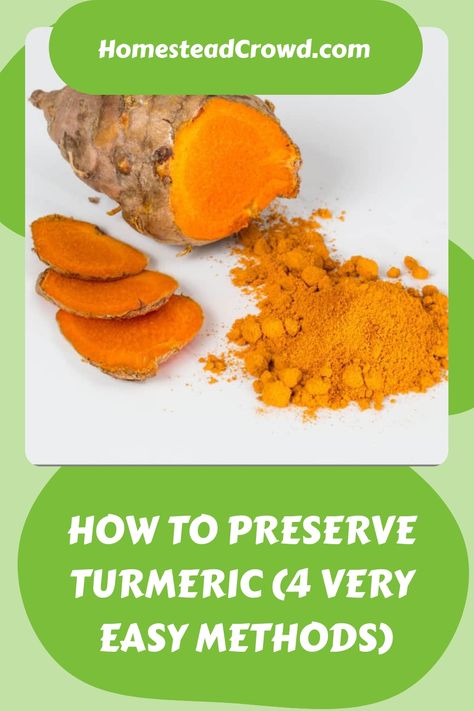 Discover various techniques to extend the shelf life of your fresh turmeric root, such as freezing, dehydrating, or infusing in oil. Uncover simple and effective methods to preserve it for as long as one year. Give your cooking a vibrant boost with well-preserved turmeric! How To Use Fresh Turmeric Root, Turmeric Root How To Use, Fresh Turmeric Root Recipes, Tumeric Root, Fresh Turmeric Root, Fresh Turmeric, Turmeric Root, Food Preservation, Preserving Food