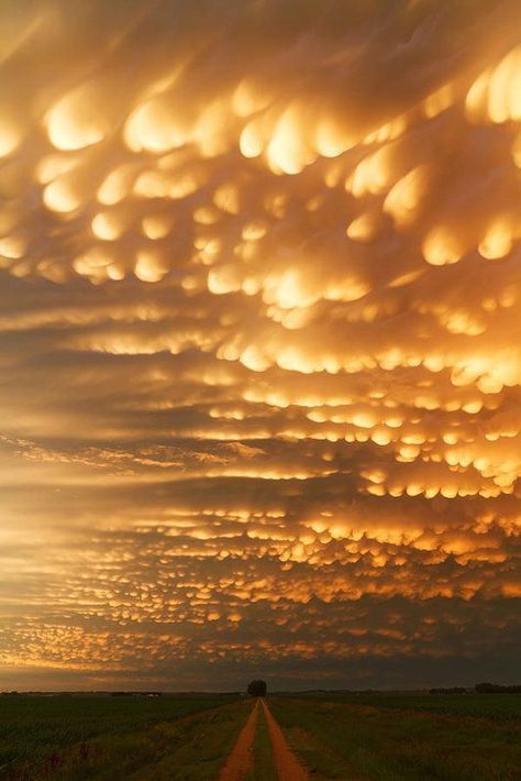 Mammatus Clouds, Wild Weather, Natural Phenomena, Sky And Clouds, Beautiful Sky, Tornado, Amazing Nature, Belle Photo, Beautiful World