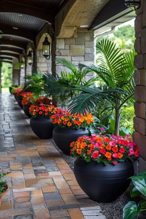 Tanaman Pot, نباتات منزلية, Potted Plants Outdoor, Front Yard Garden Design, التصميم الخارجي للمنزل, Patio Garden Design, Outdoor Gardens Design, Home Landscaping, Garden Yard Ideas