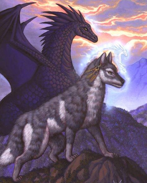 wolf & dragon Wolf And Dragon, Dragon Gif, Dragon Wolf, Fantasy Wolf, Wolf Spirit Animal, Fairy Dragon, Wolf Wallpaper, Wolf Spirit, Dragon Pictures