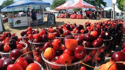 This week-long cherry celebration in July offers pit-spitting competitions, pie-baking contests, a Grand Cherry Parade and the crowning of a Cherry Queen. Pie Baking Contest, Cherry Farm, Cherry Festival, Small Refrigerator, Water Projects, South Africa Travel, No Bake Pies, Summer Food, Light Lunch