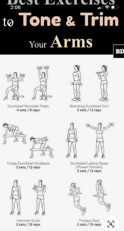 Quick Dumbbell Arm Workout, Arm Machine Workout Women, Hammer Curls Dumbbell, Arm Machine Workout, Arm Workouts For Beginners, Beginners Gym Workout, Beginner Workout Plan, Beginners Gym Workout Plan, Gym Workout Routines