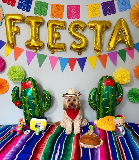 My Cavapoo pups birthday is on Cinco de Mayo & im obsessed with tacos so I geel obligated to go all out for her birthday Dog Fiesta Party, Fiesta Dog Party, Mexican Dog Party, Dog Party Food, Cinco Party, Dog Party Games, Dog Party Invitations, Taco Cake, Taco Birthday