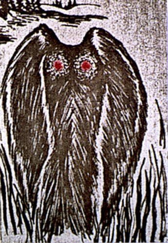 Mothman Mothman Prophecies, Mothman Sightings, The Mothman Prophecies, Indrid Cold, The Mothman, Unexplained Mysteries, Unexplained Phenomena, Some Thoughts, Paranormal Activity