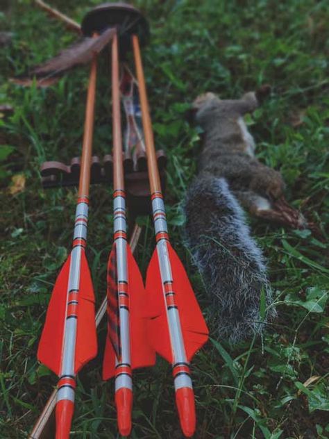 How To Bow, Recurve Bow Hunting, Squirrel Hunting, Rabbit Hunting, Deer Season, Traditional Bow, Pheasant Hunting, Small Games, Bird Hunting