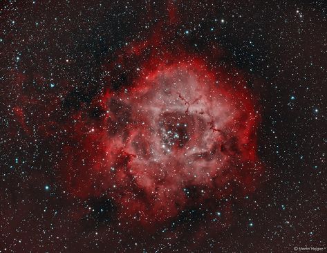 Rosette Nebula, The Milky Way Galaxy, Astronomy Pictures, Hubble Images, Star Formation, Whirlpool Galaxy, Star Cluster, Milky Way Galaxy, Light Pollution