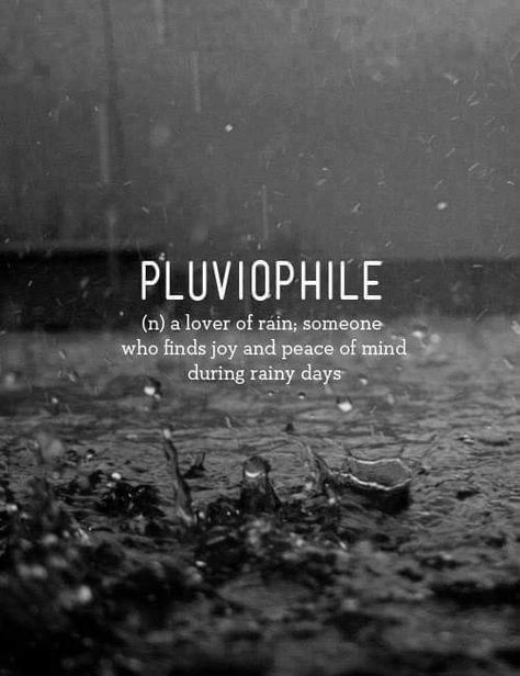 Pluviophile Rainy Day Quotes, Mug Diy, Rain Quotes, Famous Quotes About Life, Tales From The Crypt, Moving On Quotes, Love Rain, Unusual Words, Rainy Night