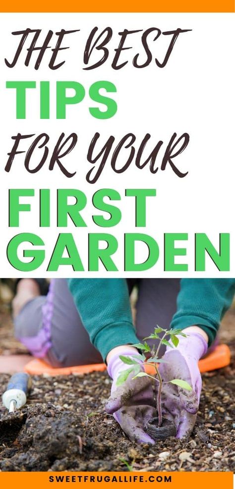 Beginner Garden, Garden Diy Decoration Ideas, Garden Diy Hacks, Positive Quotes For Life Encouragement, Gardening Inside, Diy Container, Taman Diy, First Garden, Beginner Gardening