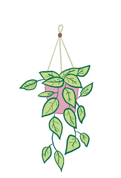 This is in the process of being turned into a sticker Hanging Plants Illustration, Hanging Plants Drawing Doodles, Green Plant Drawing, Hanging Plant Illustration, Plant Pot Drawing, Hanging Plant Drawing, Plant Illustration Simple, Potted Plant Drawing, Animated Plants