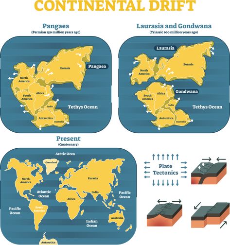 What is continental drift? - Internet Geography Continental Drift Theory, Alfred Wegener, Plate Tectonic Theory, Basic Geography, Earth Science Lessons, History Of Earth, Fantasy Map Making, Solar System Projects, Physics Classroom