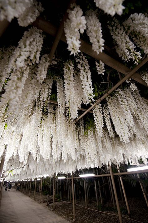 Scaffolding Festooned With Flowers, With Haiku Flowers Hanging, Space Wedding, Romantic Bride, Hanging Flowers, Ikebana, Wisteria, The Ceiling, Event Decor, Hanging Ornaments