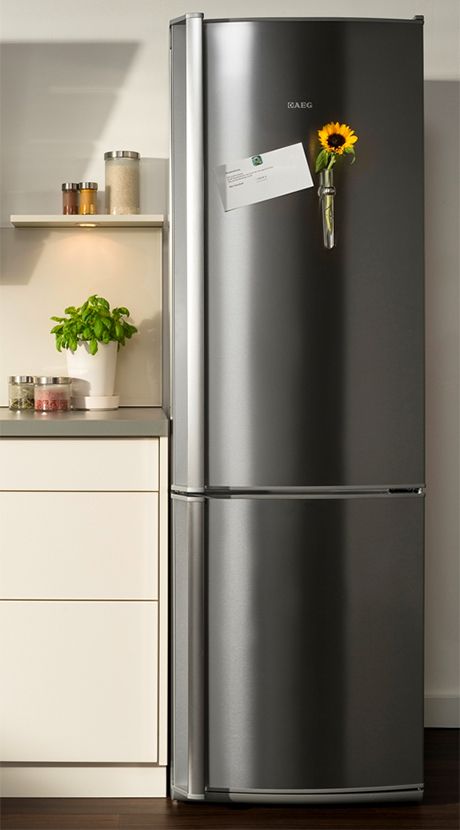 european refrigerator and freezer - Google Search European Fridge, Free Standing Fridge In Kitchen, Hawaii Kitchen, 4 Door Fridge, Stainless Fridge, Townhouse Kitchen, Sub Zero Refrigerator, 4 Door Refrigerator, Larder Fridge