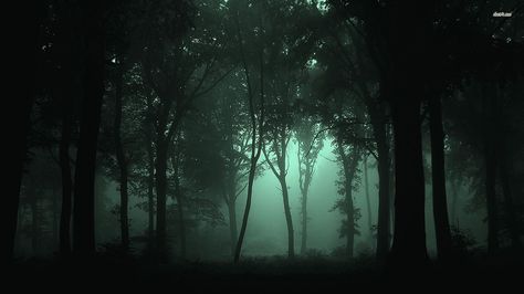 wallpaper dark forest | Nature Tree Night Forest Fog Notebook Wallpaper, Ballet Wallpaper, 1366x768 Wallpaper, 1366x768 Wallpaper Hd, Hd Widescreen Wallpapers, Amoled Wallpapers, Haunted Forest, Dark Images, Forest Background