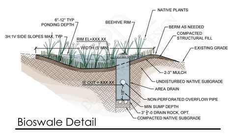 bioswales design | 20140613 Bioswale detail Green Architecture Concept, Sponge City, Retention Pond, Drainage Solutions, Drainage System, Pond Design, Dry Creek, Garden Architecture, Green Architecture