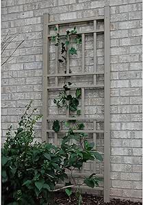 Dura-Trel Cambridge 28 by 75 Inch Heavy Duty Weather Stabilized PVC Vinyl Outdoor Garden Patio Trellis with Wall Mounting Screws and Spacers, Mocha Vinyl Lattice Panels, Patio Trellis, Wall Trellis, Arbors Trellis, Arch Trellis, Garden Vines, Trellis Plants, Aging Wood, Traditional Garden