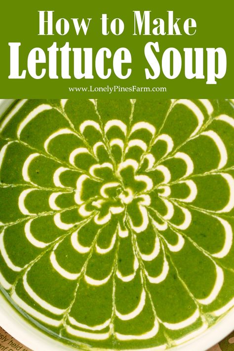 When you think of lettuce, your mind immediately conjures up images of crisp salads or crunchy sandwich fillings, but this surprisingly versatile ingredient can also star as green soup! Let's dive into a world of unexpected flavors with our simple vegan lettuce soup recipe Crunchy Sandwich, Lettuce Soup, Emulsion Blender, Homestead Cooking, Greens Soup, Homestead Recipes, Green Soup, Soup Vegan, Sandwich Fillings