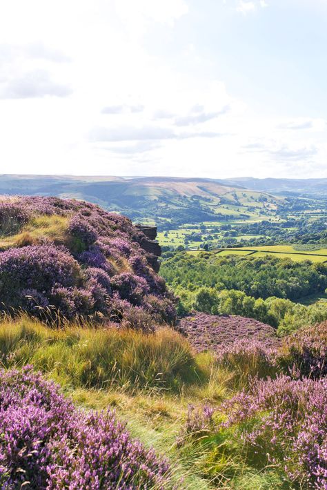 Peak District England, Landscape Park, English Landscape, Peak District National Park, Photography London, Peak District, London Photography, English Countryside, The Peak