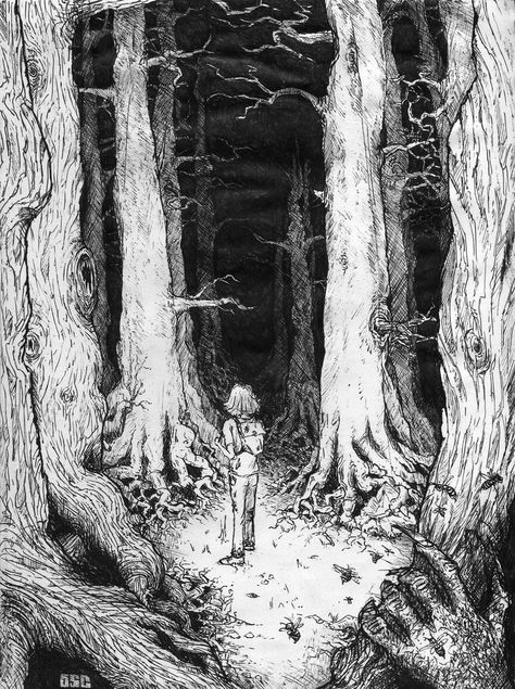 Grafic Art, Scene Illustration, Forest Drawing, Manga Drawing Tutorials, Line Sketch, Forest Illustration, Art Et Illustration, Ink Sketch, Black And White Drawing