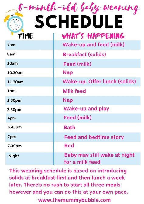 A simple daily schedule for a six-month-old baby who is weaning. A sleep, feeding and play schedule to help you introduce solids to your baby and adjust their daytime milk feeds #babyroutine #babyschedule #sahmroutine #dailyroutine #weaningtips #babytips Sample Newborn Schedule, Newborn Care First Week, Sleep Schedule For Baby, Baby Solid Food Schedule, Baby Schlafplan, Newborn First Week, Baby Food Schedule, Baby Solid Food, Baby Trivia