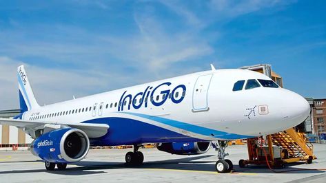 The flight was delayed by six hours after the passengers were asked to alight from the aircraft and their luggage was thoroughly checked for any sabotage before the IndiGo flight was allowed to leave for Mumbai Indigo Flight, Indigo Airlines, Investment Ideas, Airline Company, Best Airlines, Air India, Domestic Flights, Aviation Industry, Crew Members