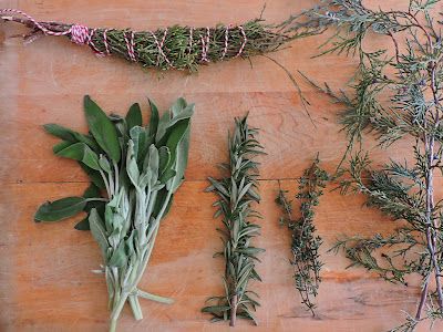 winter gathering + juniper medicine + smudge stick making Winter Gathering, Infused Vinegars, Vinegar Cleaning, Hemp Twine, Bee Balm, Smudge Sticks, Different Plants, All Is Well, Cactus Plants