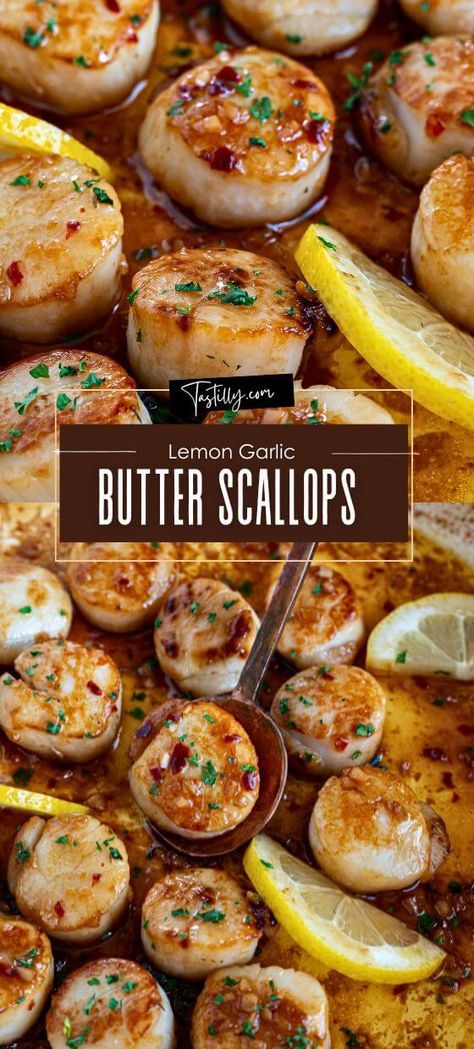 10-Minute Lemon Garlic Butter Scallops – Tastilly Sea Scallop Recipes, Garlic Butter Scallops, Shrimp And Scallop Recipes, Easy Scallop Recipes, Butter Scallops, Seafood Dish Recipes, Fagioli Soup, Fish Ideas, Sunday Dinners