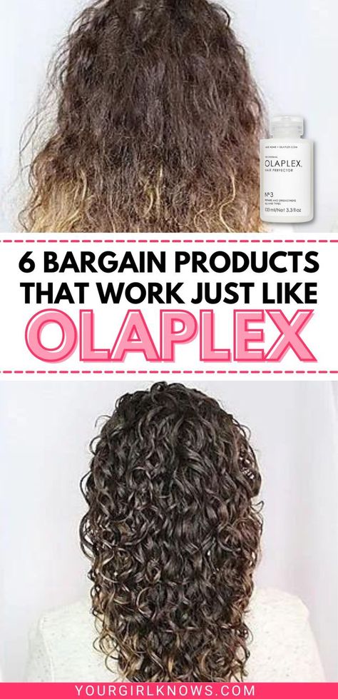 6 BEST OLAPLEX DUPES THAT I SWEAR ARE JUST AS GOOD OR EVEN BETTER | YOURGIRLKNOWS Olaplex Products, Oily Hair Shampoo, Drugstore Shampoo, Olaplex No 3, Olaplex Shampoo, Chanel Hydra Beauty, Fall Makeup Trend, Olaplex Treatment, Getting Rid Of Dandruff