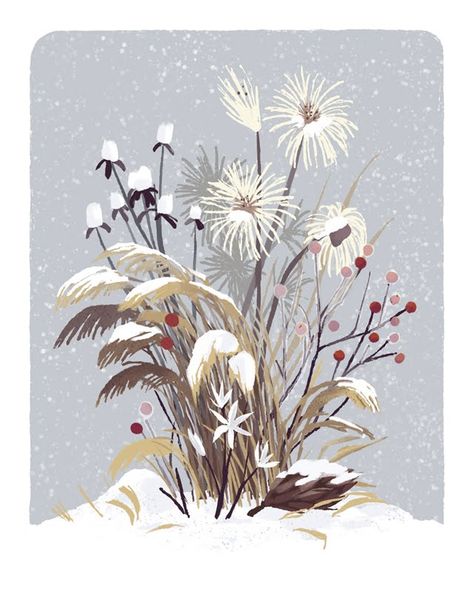 Chris Turnham Plants Illustration, Winter Drawings, Winter Illustration, Winter Plants, Trendy Flowers, Art Et Illustration, Winter Flowers, Plant Illustration, Art And Illustration