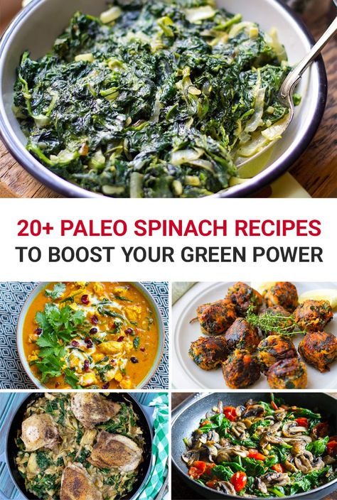 20+ Paleo Spinach Recipes To Boost Your Green Power #paleo #spinach #paleorecipes #glutenfree #grainfree via @irena_macri Whole30 Salads, Primal Living, Paleo Side Dishes, Against All Grain, Paleo Diet Recipes, Paleo Lunch, Fitness Community, Spinach Recipes, Paleo Dinner