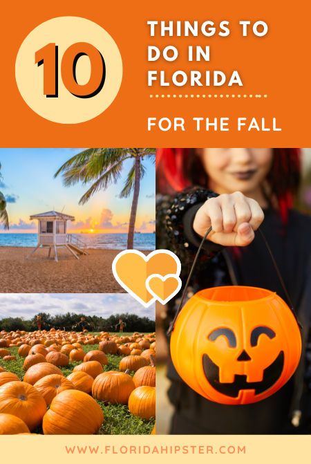 Florida Fall Bucket List Ideas Universal Halloween Horror Nights, Florida Fall, Things To Do In Florida, America Theme, Fall Bucket List, Scary Halloween Party, Halloween Horror Nights, Fall Photoshoot, Halloween Theme