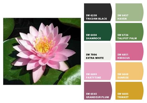 Water lily color pallette (pink, yellow, green, gray, white, black) from Chip It! by Sherwin Willams Pink Yellow Green Black Color Palette, Water Lily Color Palette, Downstairs Ideas, Lily Color, Happy Chemicals, Green Melon, Beauty Space, Colour Pallets, Black Color Palette