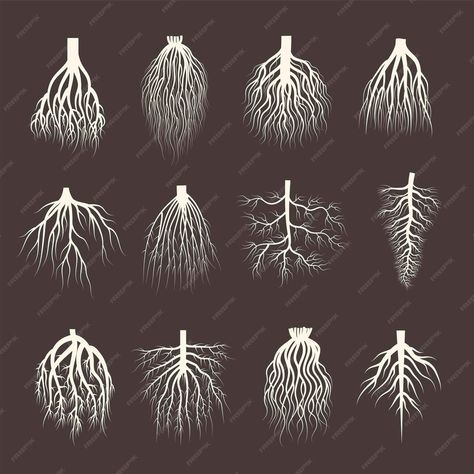 Premium Vector | Root system wooden roots from tree botanical plants symbols creep forest recent vector illustrations collection Plants With Roots Drawing, Root System Tattoo, Roots Typography, Forest Theme Tattoo, Fruit Tree Illustration, Tree Root System, Root Tattoo, Plant Character, Roots Illustration