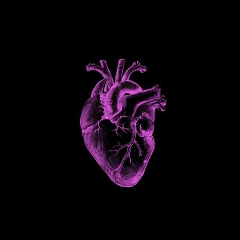 Heart Tiktok Trend Wallpaper, Human Heart Purple, Purple Human Heart Wallpaper, Jantung Couple, Human Heart Wallpaper Purple, Half Heart Wallpaper Realistic, Anatomical Heart Aesthetic, Human Heart Wallpaper, Real Heart Wallpaper