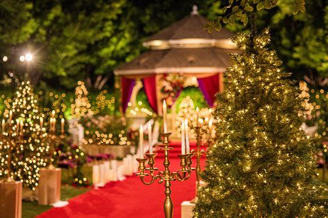 Disney Winter Wedding, Disney Christmas Wedding, Disney Wedding Decor, Disney Weddings, Disney Fairy Tale Weddings, Disney Fairy, Happiest Place On Earth, Fairy Tale Wedding, Disney Wedding