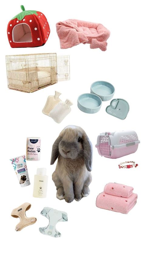 Homemade Rabbit Treats, Pet Bunny House, Bunny Sheds, Diy Bunny Cage, Rabbit Pen, Pet Rabbit Care, Rabbit Treats, Bunny Room, Pet Bunny Rabbits