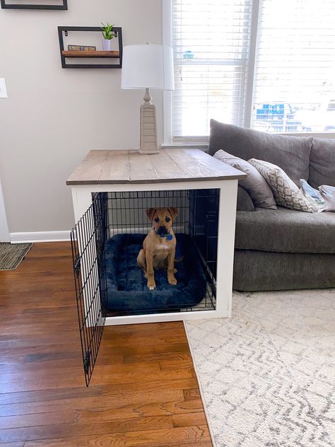 Dog Kennel Side Table Diy, Small Dog Home Ideas, Dog Side Table, Dogs Crate Ideas, Dog Kennel Side Table, Dog Crate Side Table Diy, Side Table Dog Crate, Dog Crate Ideas Decor, Living Room With Dog Crate