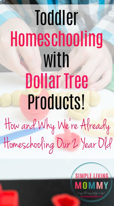 Dollar Tree Homeschool Ideas, Dollar Tree Preschool Activities, Dollar Store Montessori, Dollar Tree Activities For Toddlers, Dollar Tree Preschool, Dollar Store Toddler Activities, Dollar Tree Toddler Activities, Dollar Tree Homeschool, Sensory Sensitivity